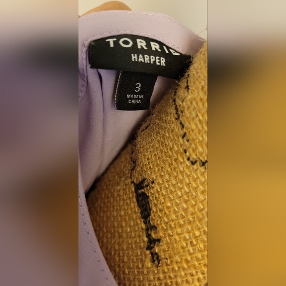 Lilac Sheer Blouse - Picture 3 of 3